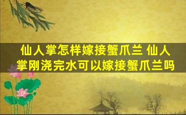 仙人掌怎样嫁接蟹爪兰 仙人掌刚浇完水可以嫁接蟹爪兰吗